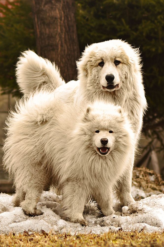 Фотография автора Екатерина Полякова