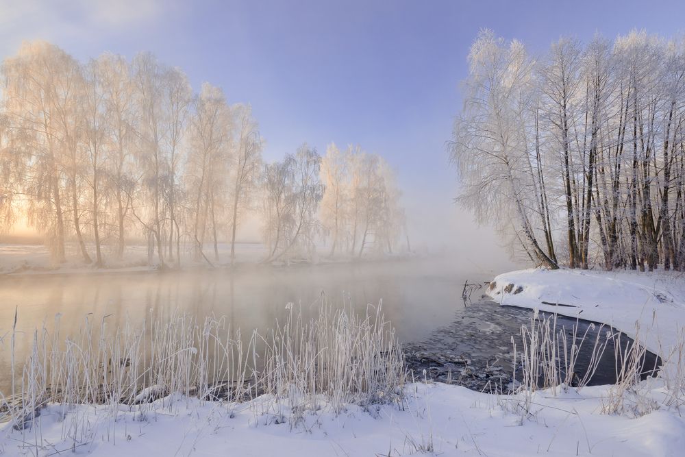 Photograph by Александр Гвоздь