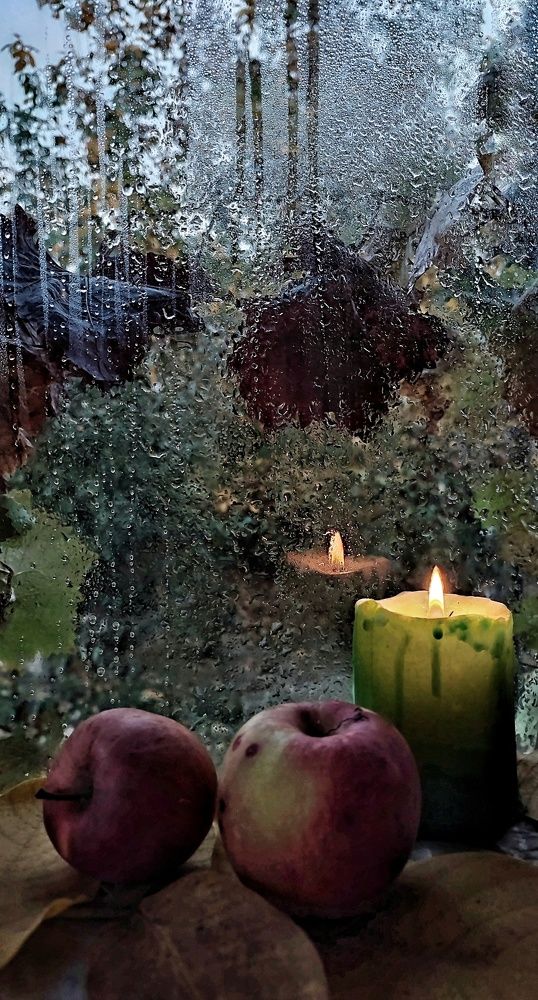 Photograph by Хоменчук Людмила