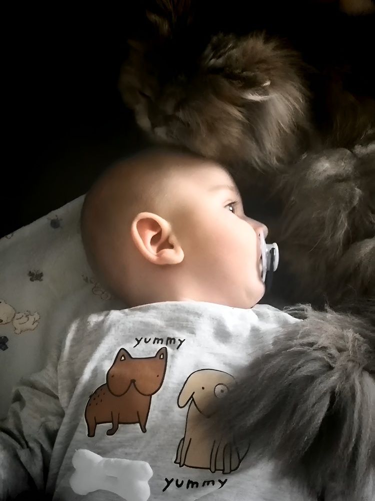 Photograph by Куделенко Оксана