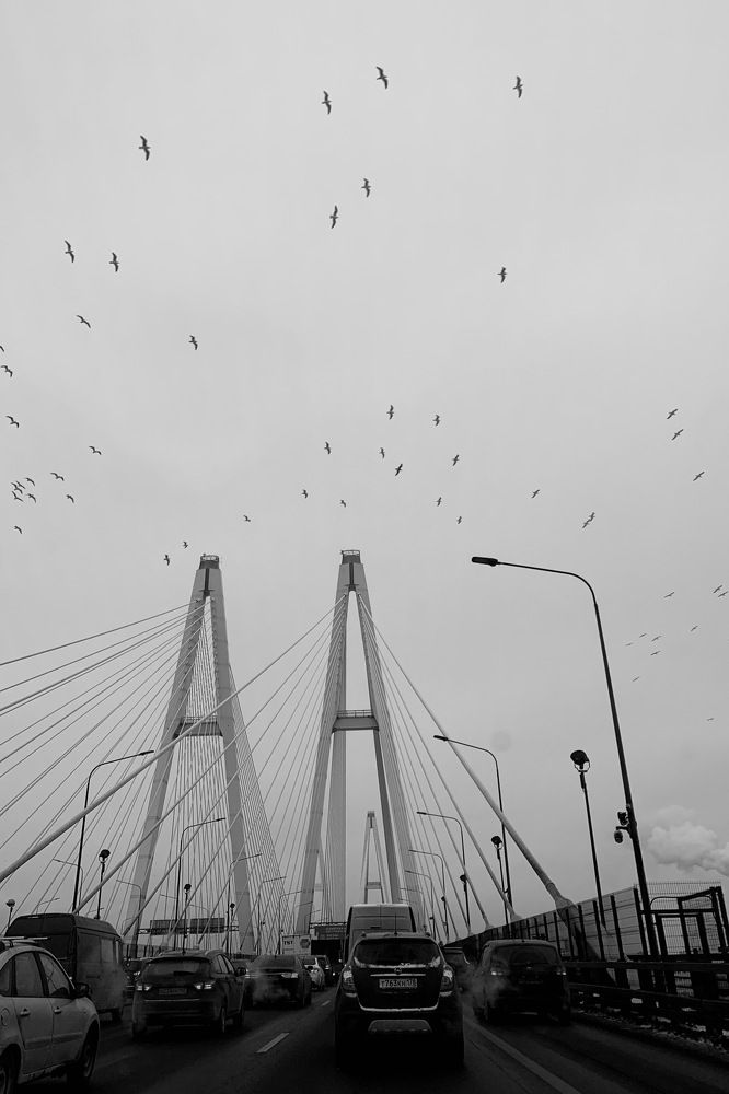 Photograph by Муратов Сергей