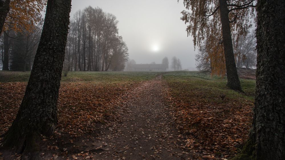 Тишину шагами меря...