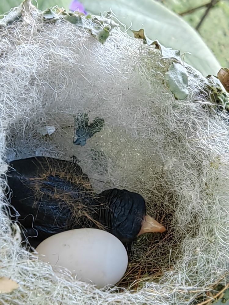 Photograph by Virginia Azocar