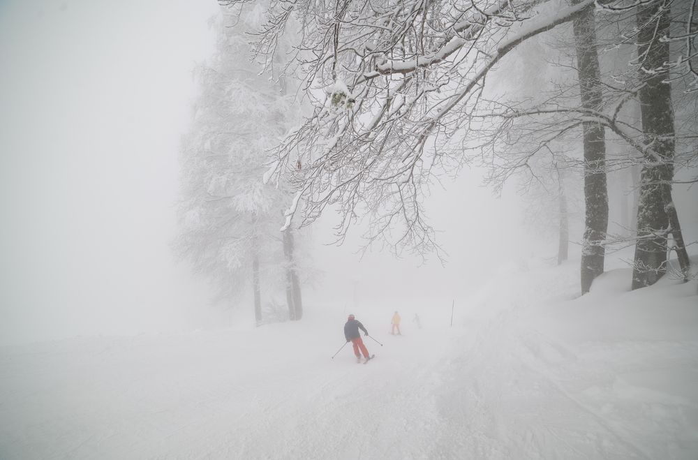 Photograph by Валерий Одинцов