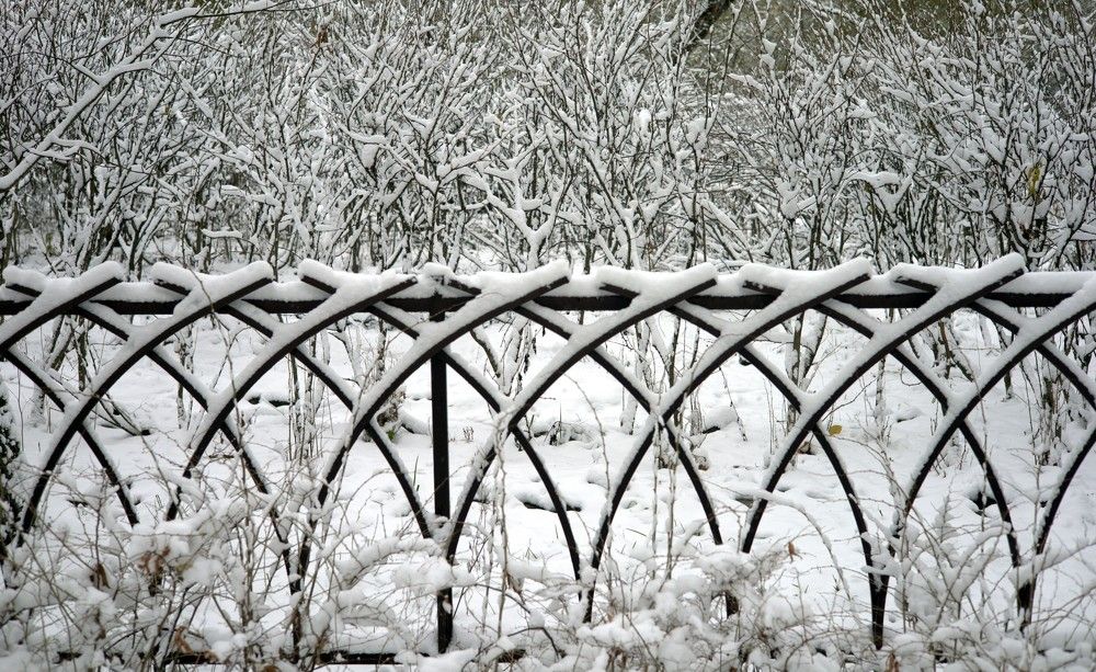 Photograph by владимир Заворотный