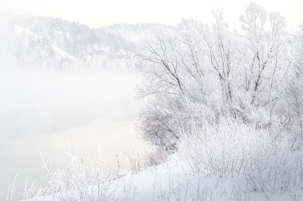 Photograph by Жанна Агафонова