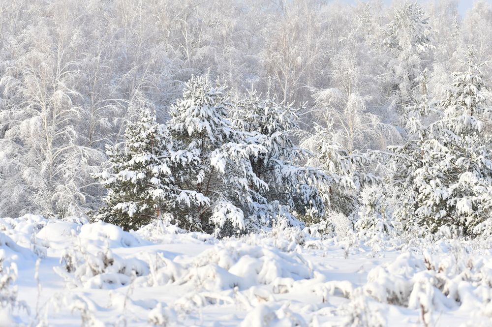 Photograph by Николай Абакумов