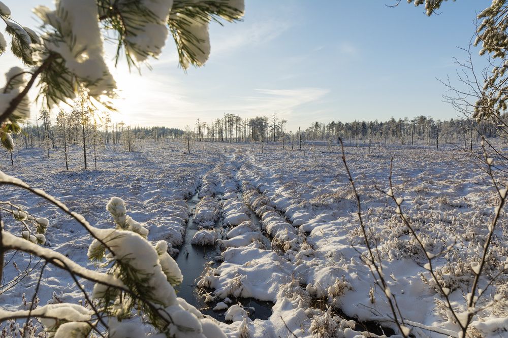 Photograph by Олег Малетин