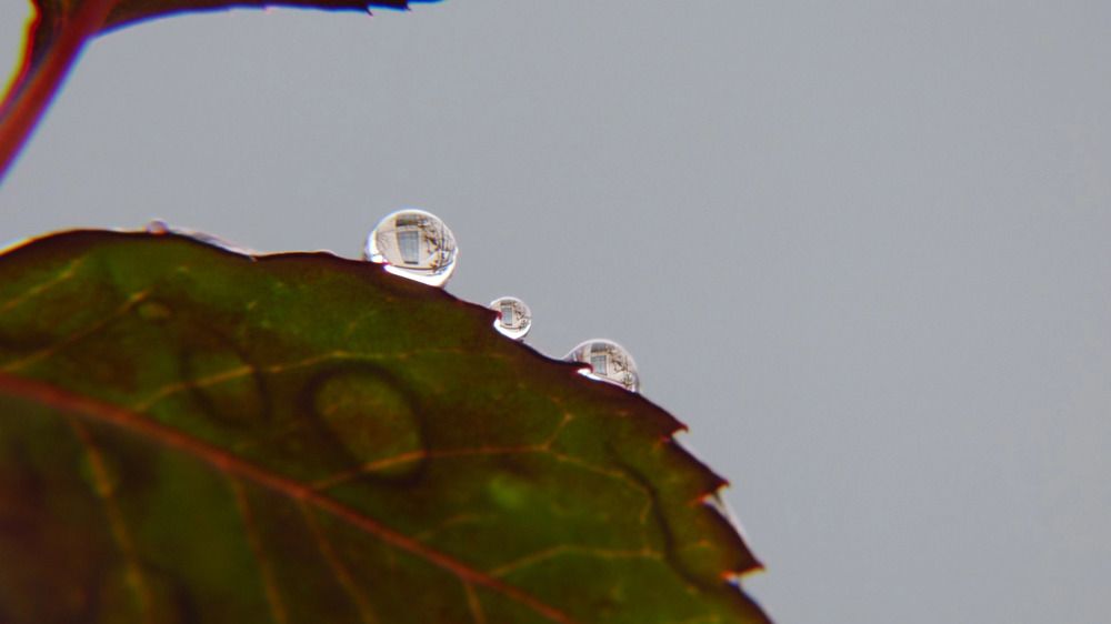 Photograph by Ольга