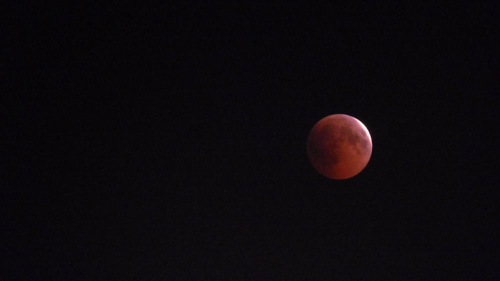 Photograph by Ольга