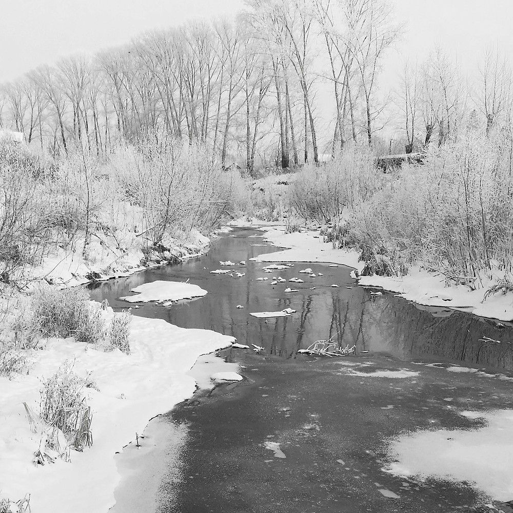Фотография автора Максим Грибанов