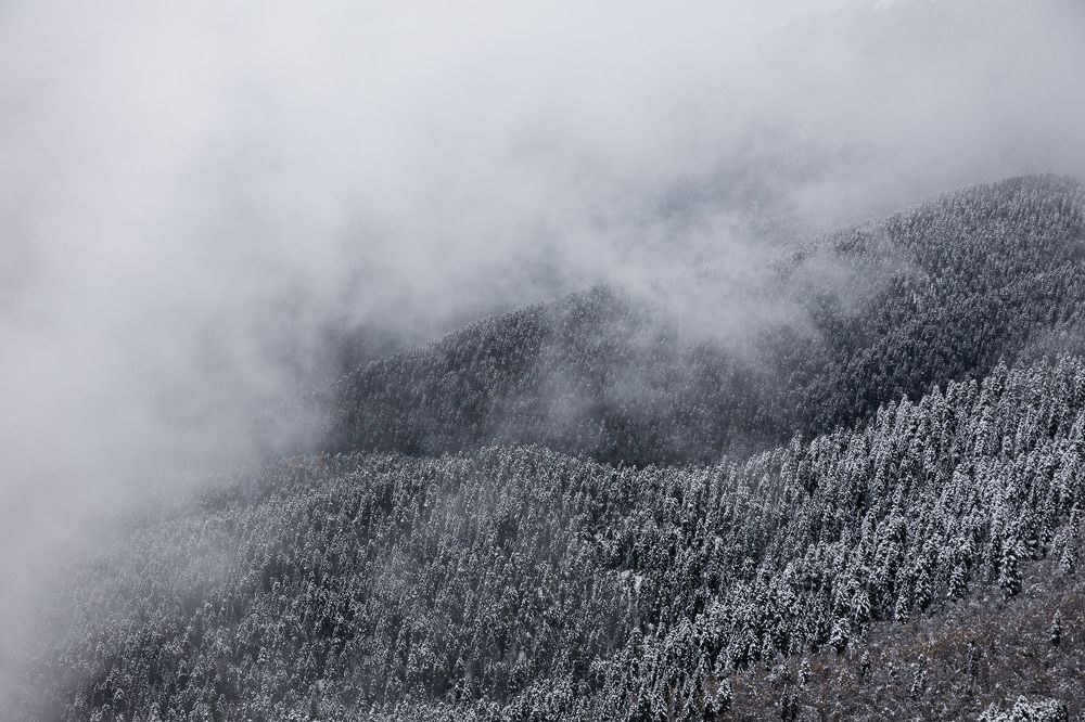 Photograph by Мария Раздорова