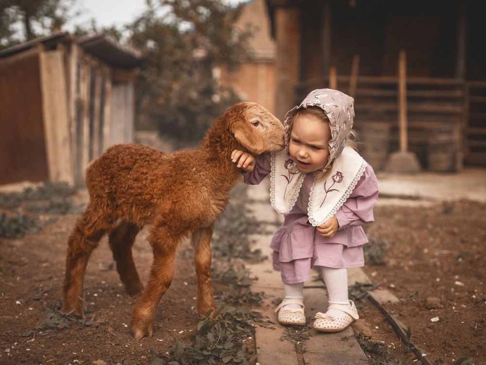 Photograph by Елена Баришполь