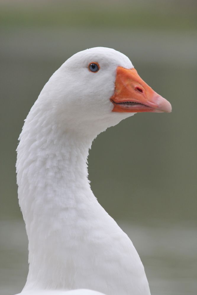 Photograph by Nadzeya