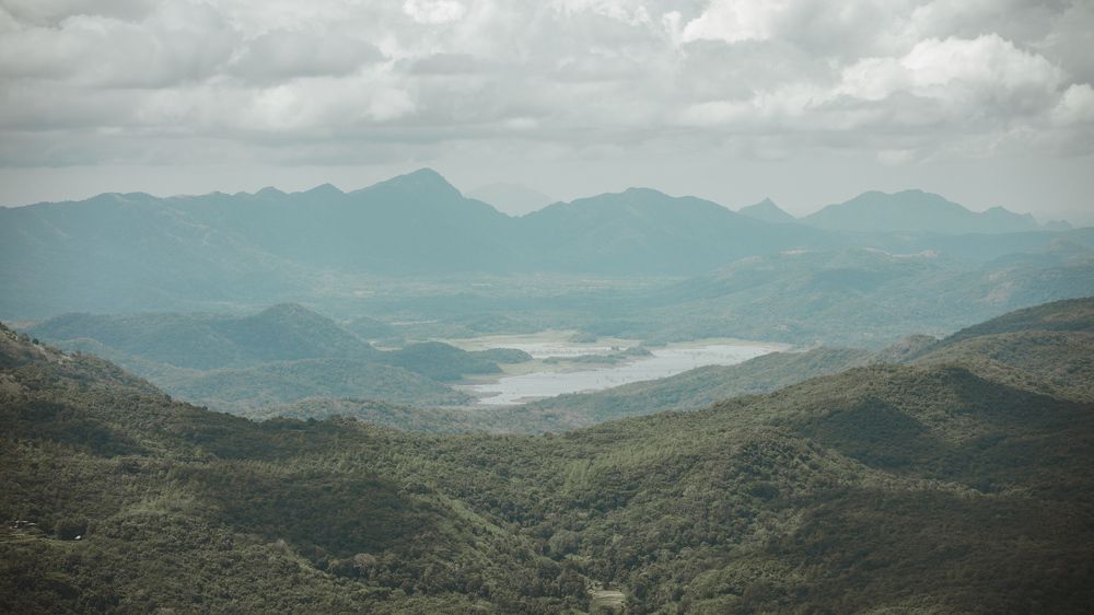 Фотография автора Aminda Diyunuge