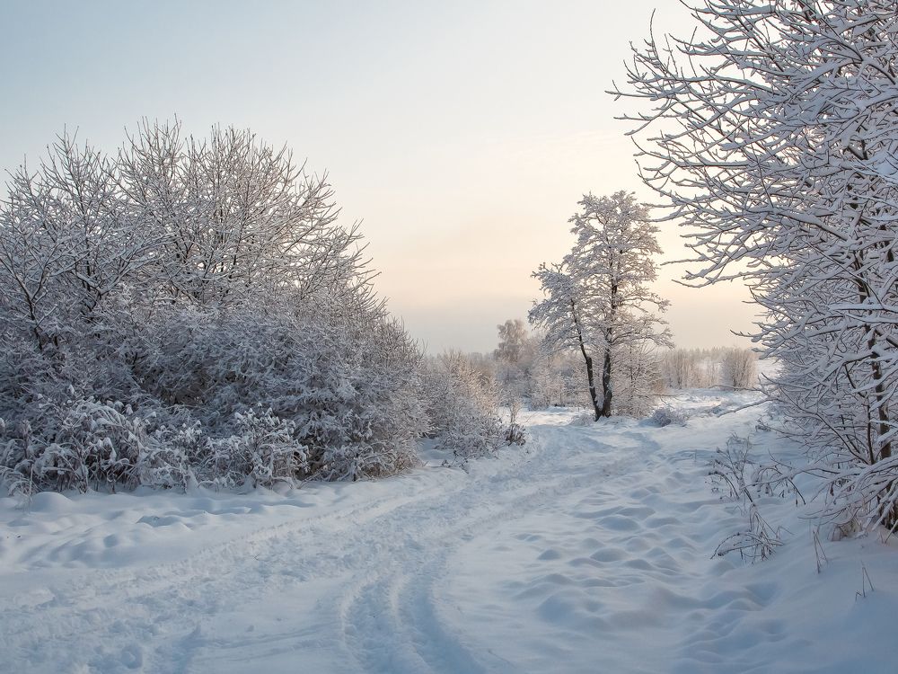 Photograph by Наталья Колеватова