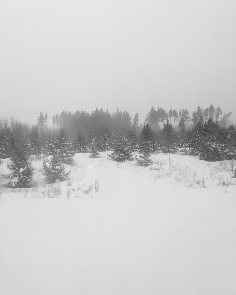 Photograph by Дудников Александр