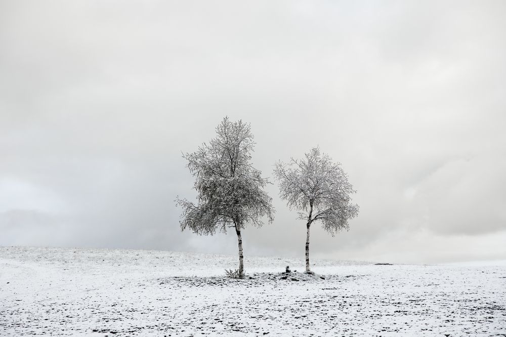 Photograph by Мария Раздорова