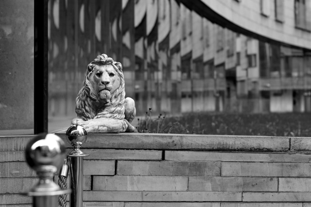 Фотография автора Сергей Черкасов