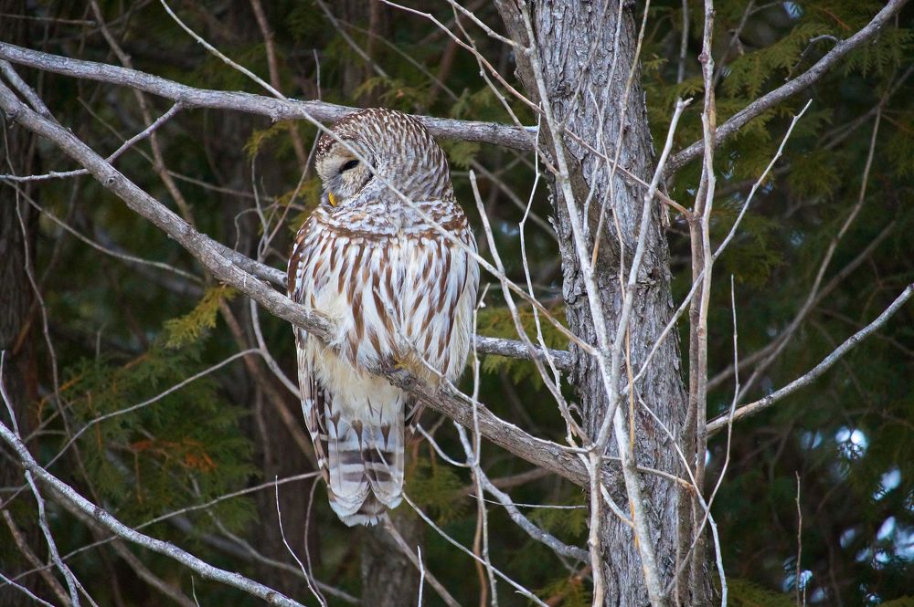 Photograph by Ken Oliver