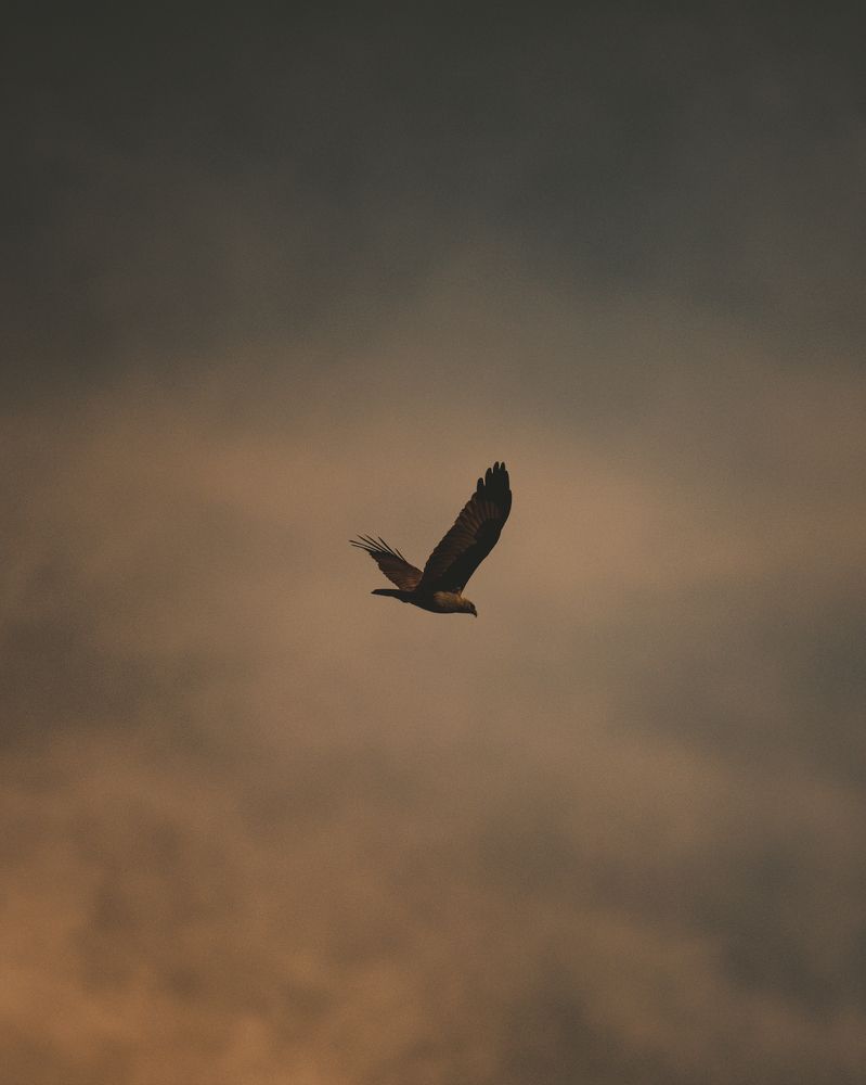 Photograph by Aminda Diyunuge