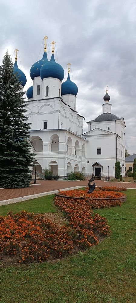 Фотография автора Дарья Петровская