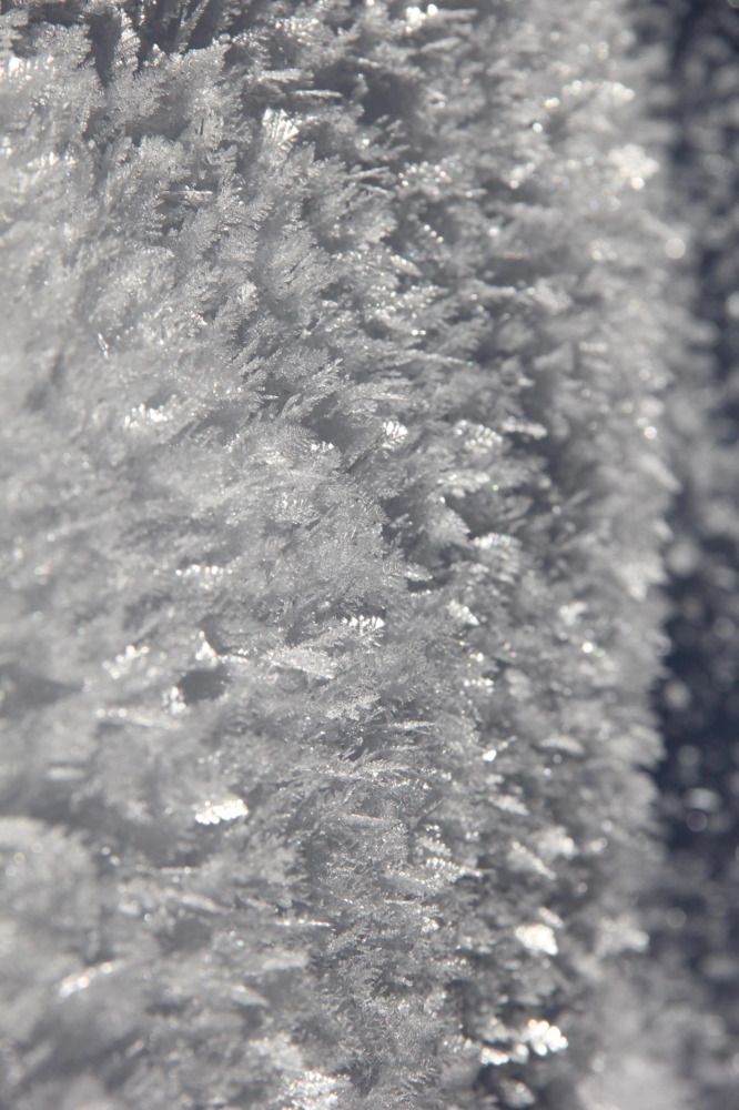 Photograph by Дарья Кирина