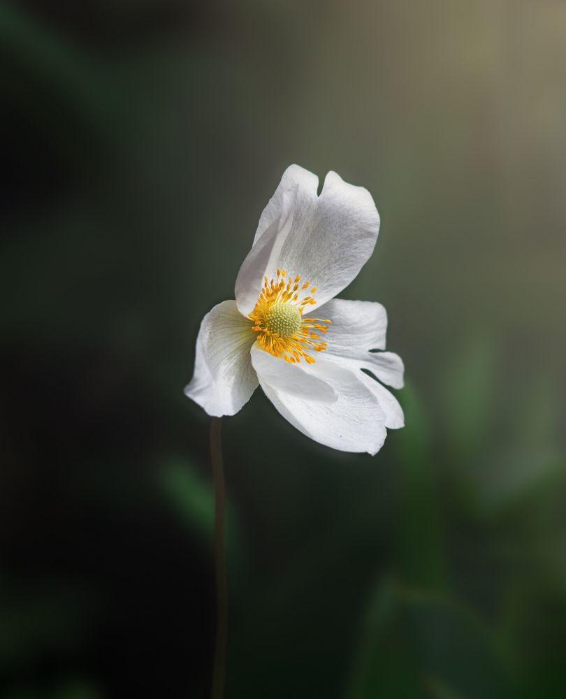 Photograph by Евгения Кинжакова