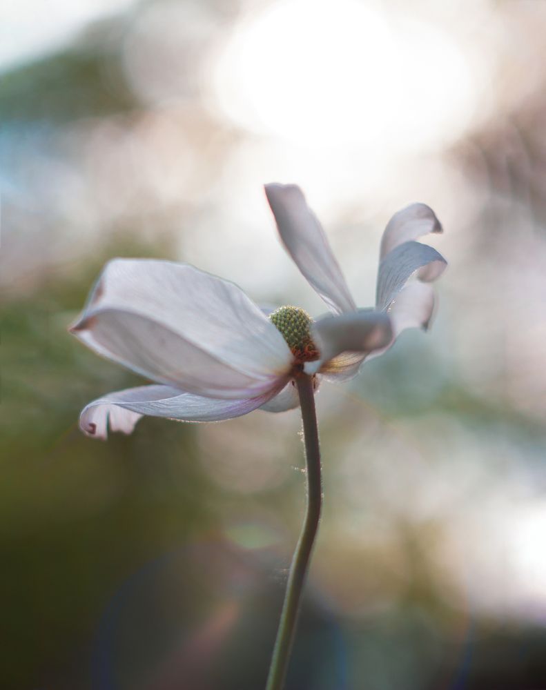 Photograph by Евгения Кинжакова