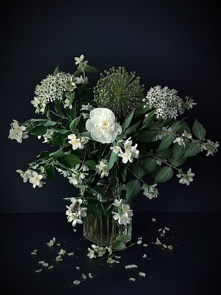 Photograph by Galina Novichkova