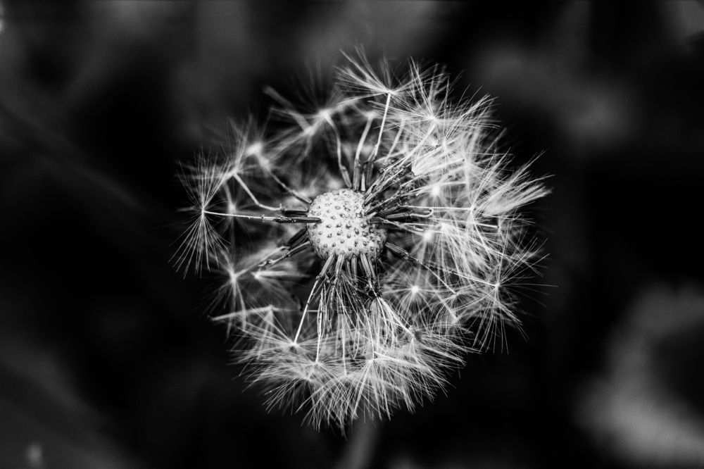 Photograph by Евгения Кинжакова