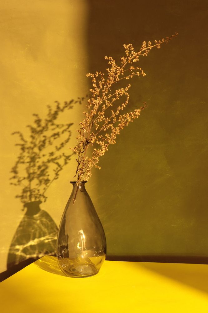 Фотография автора Ольга Лизунова