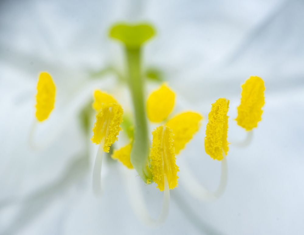 Photograph by Rachana madhav