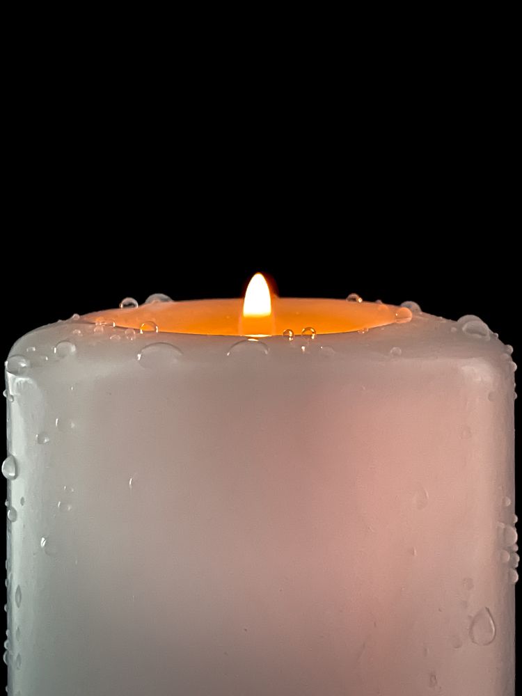 Photograph by Anya Lo