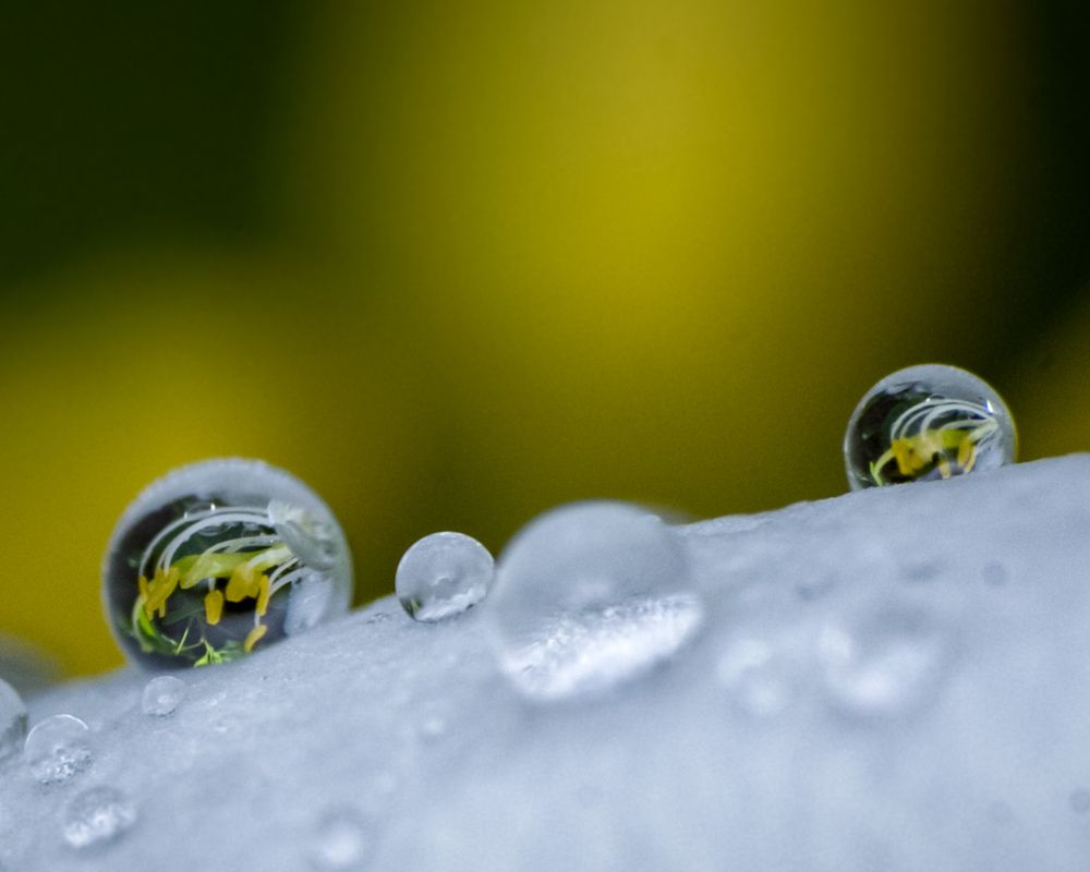 Photograph by Rachana madhav