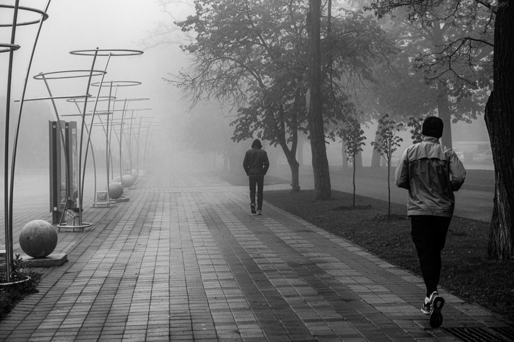 Photograph by 