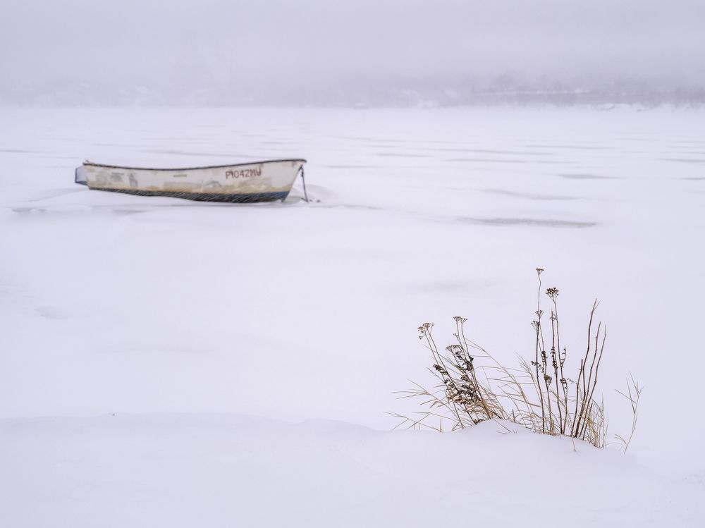 Photograph by ARTEM KORZHUKOV