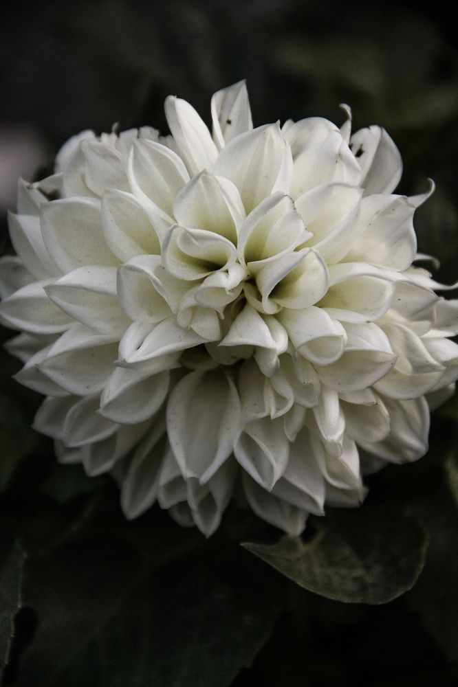 Photograph by Анастасия Псарёва