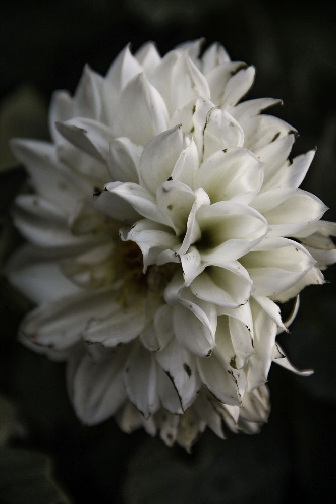 Photograph by Анастасия Псарёва