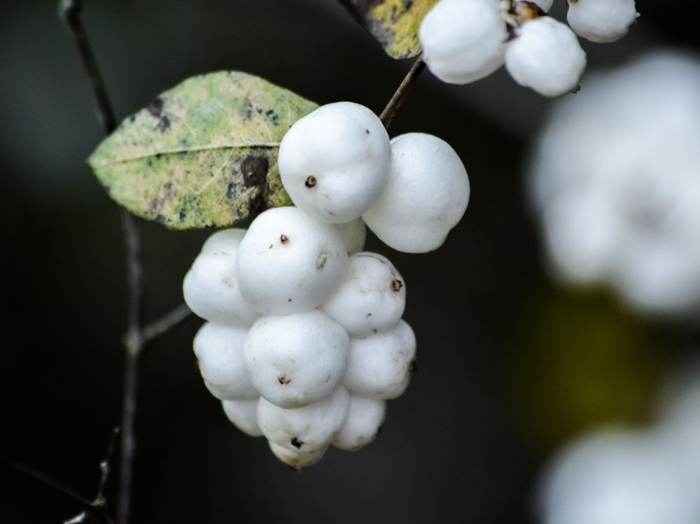 Photograph by Сергей Гуров