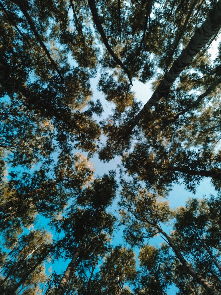 Photograph by Мария Добычина