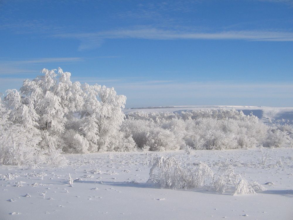 Photograph by R Vladimir