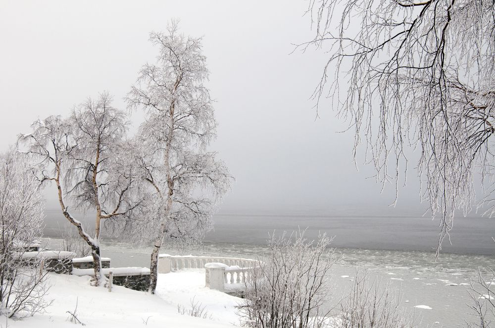 Photograph by ARTEM KORZHUKOV