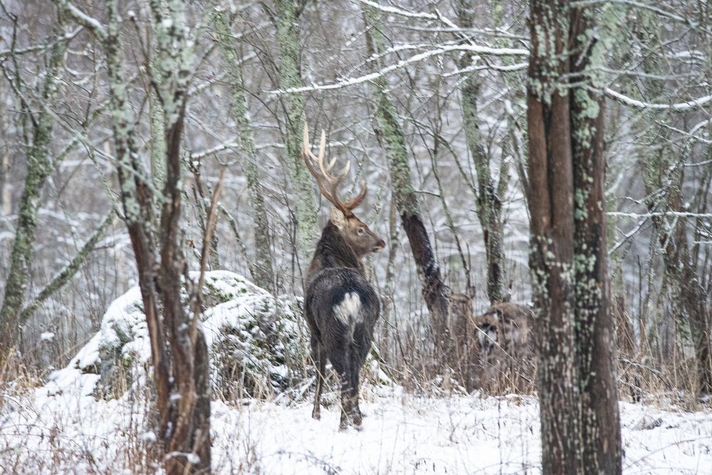 Photograph by Алексей Шаскольский