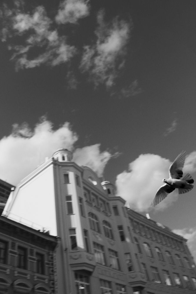 Photograph by Владислав Русанов