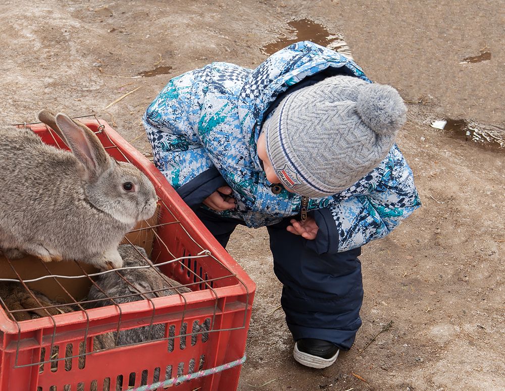 Photograph by Ольга Дядченко