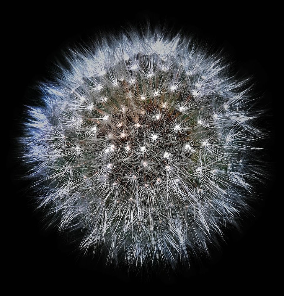 Photograph by Roberto Hagemann