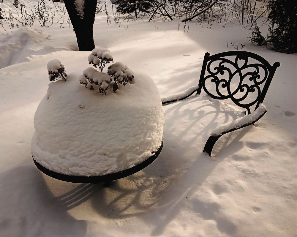 Photograph by Ляля Ильинская