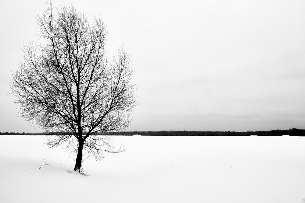 Photograph by Дмитрий Солодухин