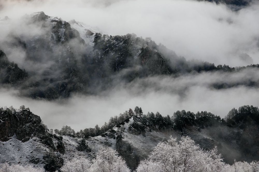 Photograph by Мария Раздорова